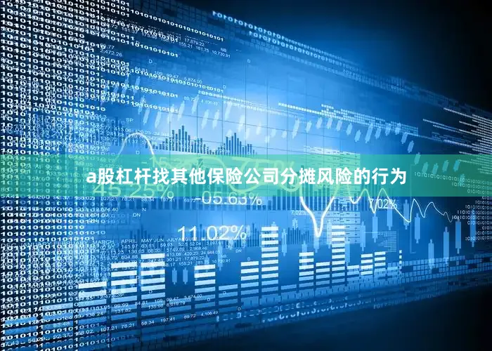 a股杠杆找其他保险公司分摊风险的行为