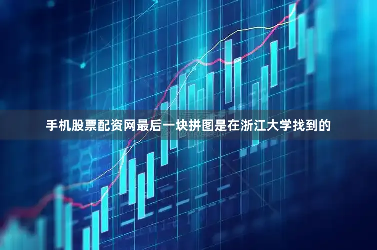 手机股票配资网最后一块拼图是在浙江大学找到的
