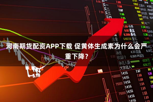 河南期货配资APP下载 促黄体生成素为什么会严重下降？