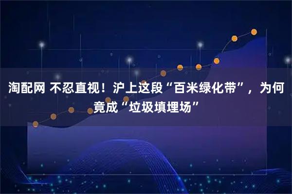 淘配网 不忍直视！沪上这段“百米绿化带”，为何竟成“垃圾填埋场”